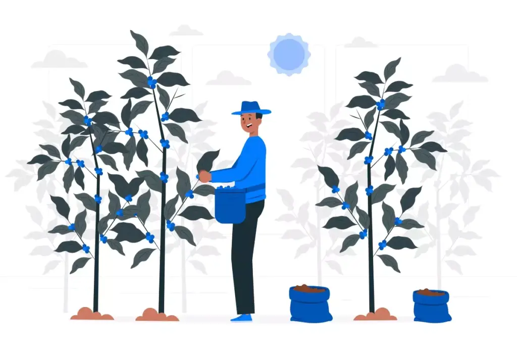 Homem trabalhador rural examinando plantas em uma fazenda, ilustrando como funciona o trabalho intermitente na agricultura no Brasil.