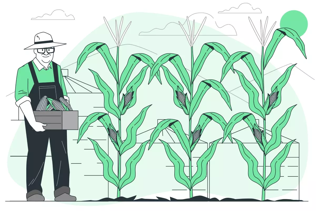 Imagem ilustrativa de um trabalhador do agronegócio no campo, carregando uma caixa de produtos agrícolas, simbolizando trabalho intermitente para o mercado de agronegócio.